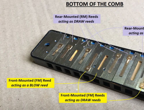 Modular Reed Harmonica